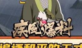 火影选手爆料视频在线观看,揭秘忍者世界幕后真相